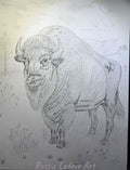 The Buffalo
