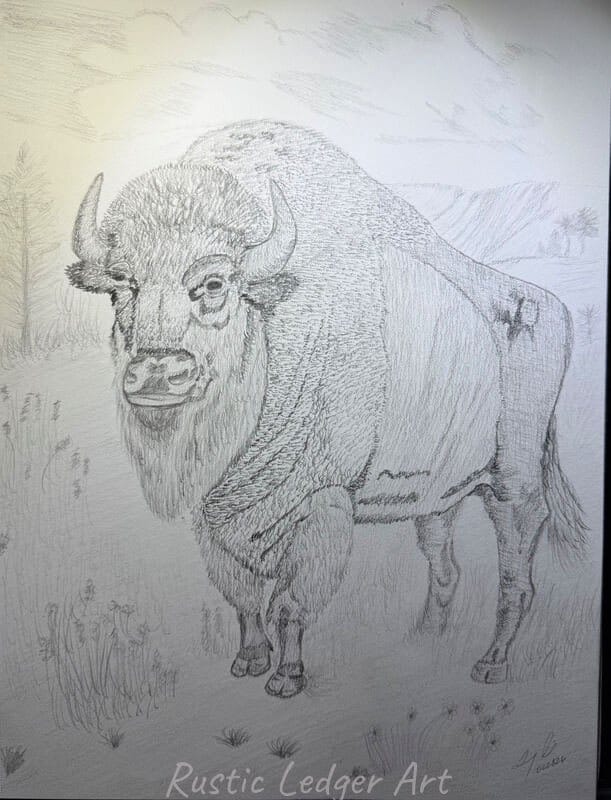 The Buffalo