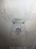 The Buck