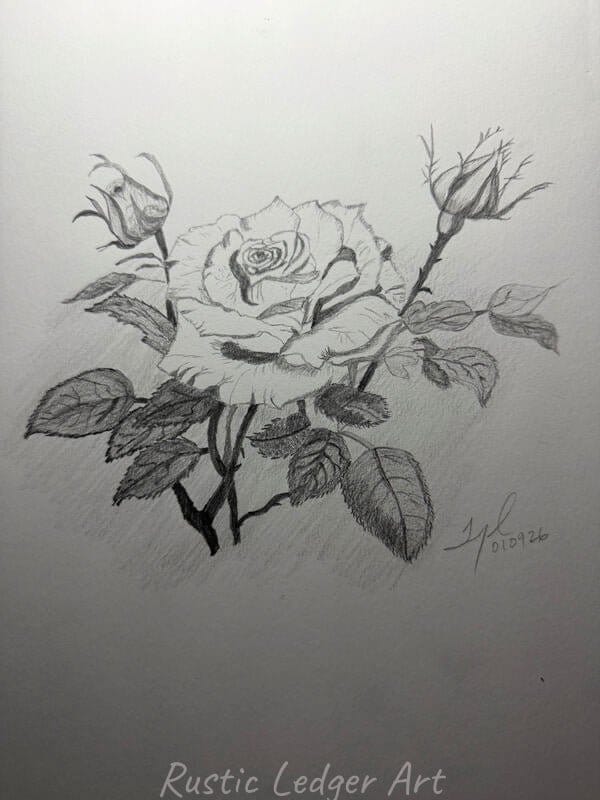Wild Rose